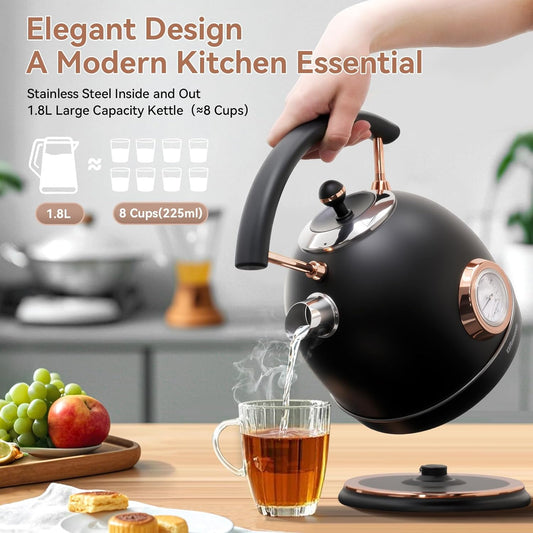 Rasonic Classic Retro Electric Kettle (UK Plug) (Matt Finish Black and Rose Gold)