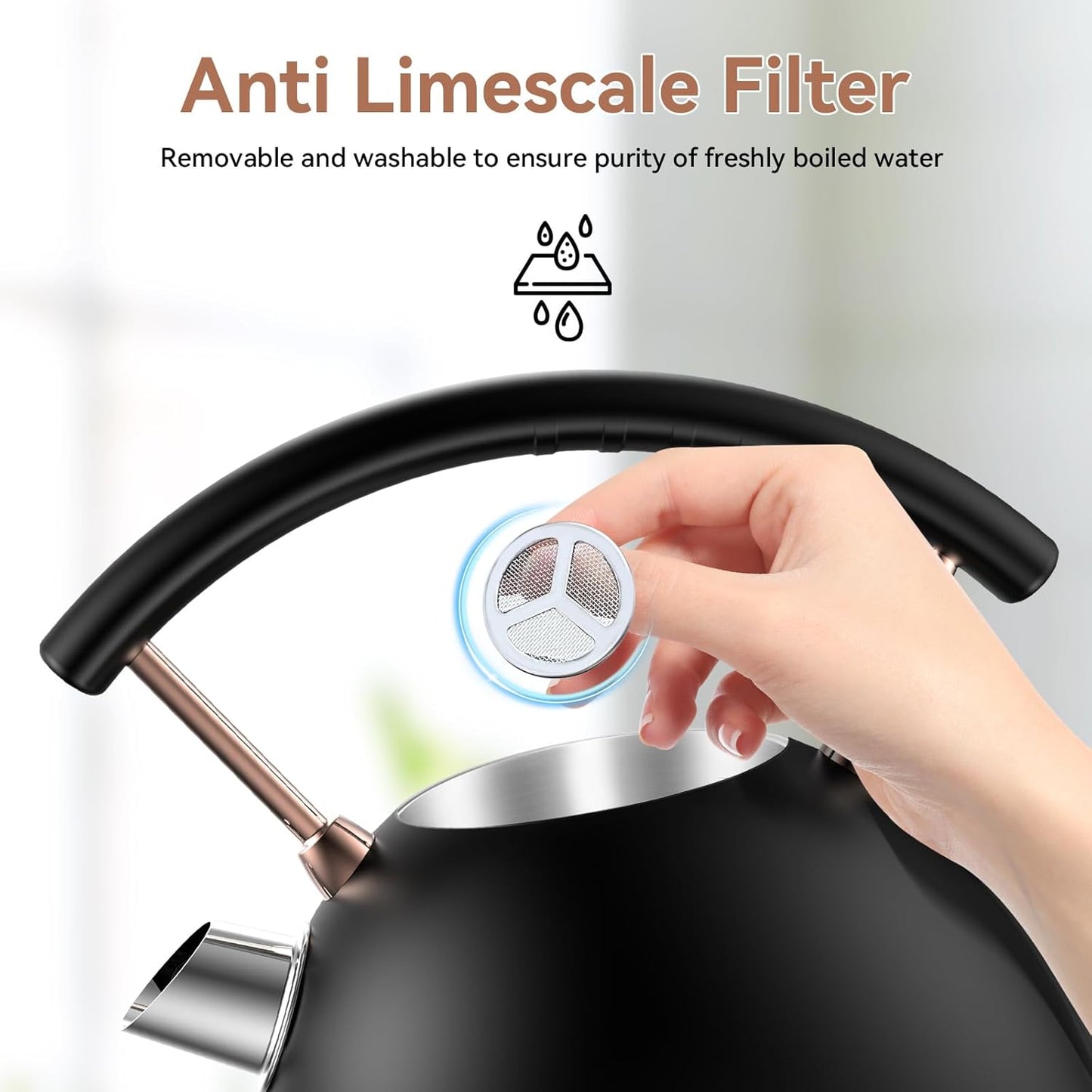 Rasonic Classic Retro Electric Kettle (US Plug) (Matt Finish Black and Rose Gold)