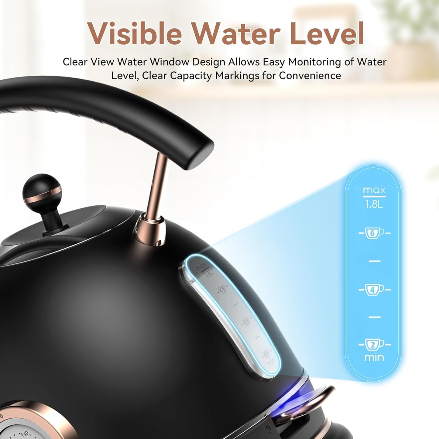 Rasonic Classic Retro Electric Kettle (US Plug) (Matt Finish Black and Rose Gold)